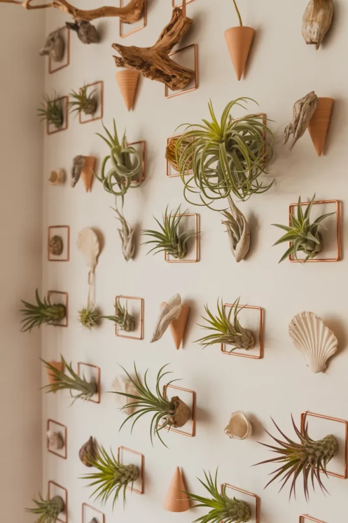 13-Air Plant Wall Display
